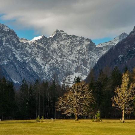 Ferienwohnung Turisticna Kmetija Psnak Mojstrana Exterior foto
