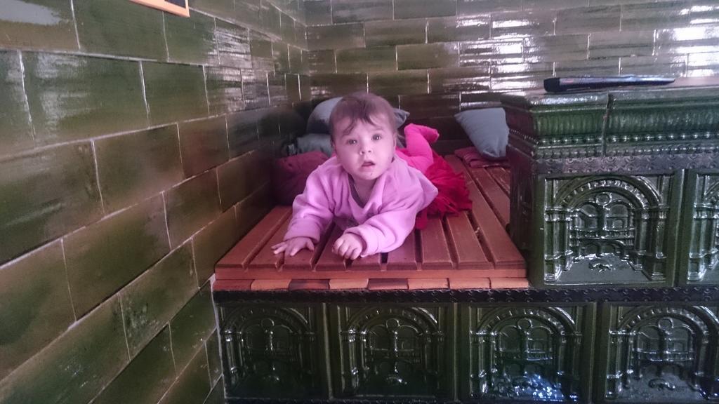 Ferienwohnung Turisticna Kmetija Psnak Mojstrana Exterior foto
