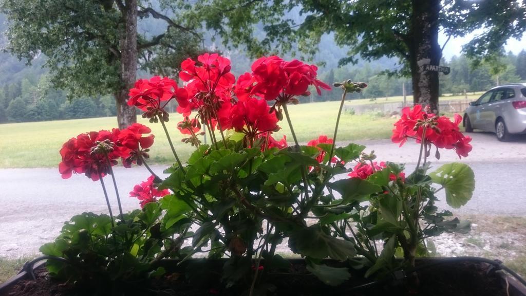 Ferienwohnung Turisticna Kmetija Psnak Mojstrana Exterior foto