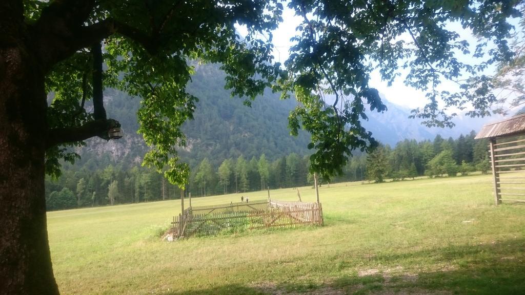 Ferienwohnung Turisticna Kmetija Psnak Mojstrana Exterior foto