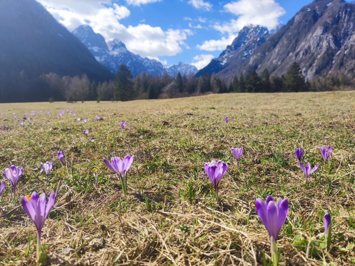 Ferienwohnung Turisticna Kmetija Psnak Mojstrana Exterior foto