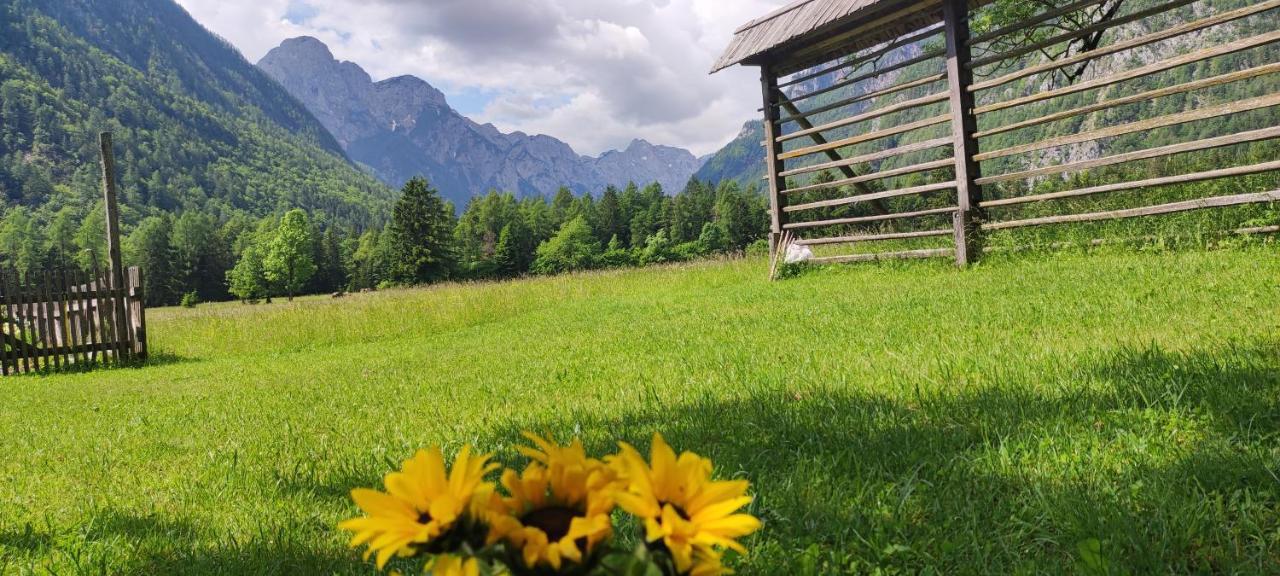 Ferienwohnung Turisticna Kmetija Psnak Mojstrana Exterior foto
