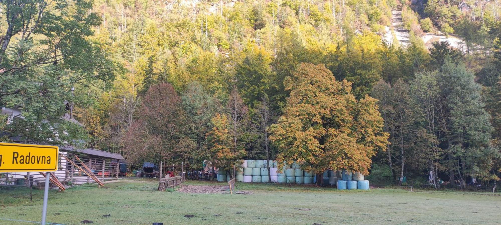 Ferienwohnung Turisticna Kmetija Psnak Mojstrana Exterior foto