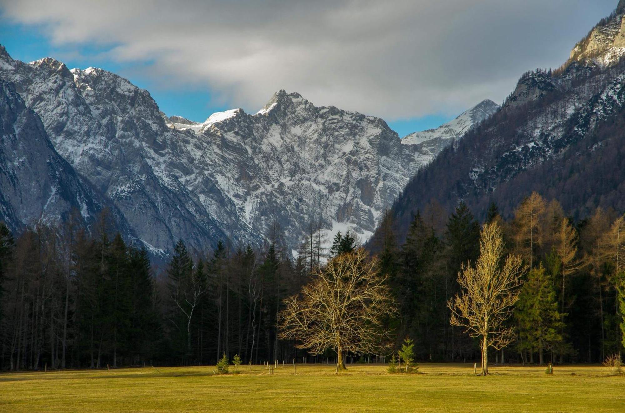 Ferienwohnung Turisticna Kmetija Psnak Mojstrana Exterior foto