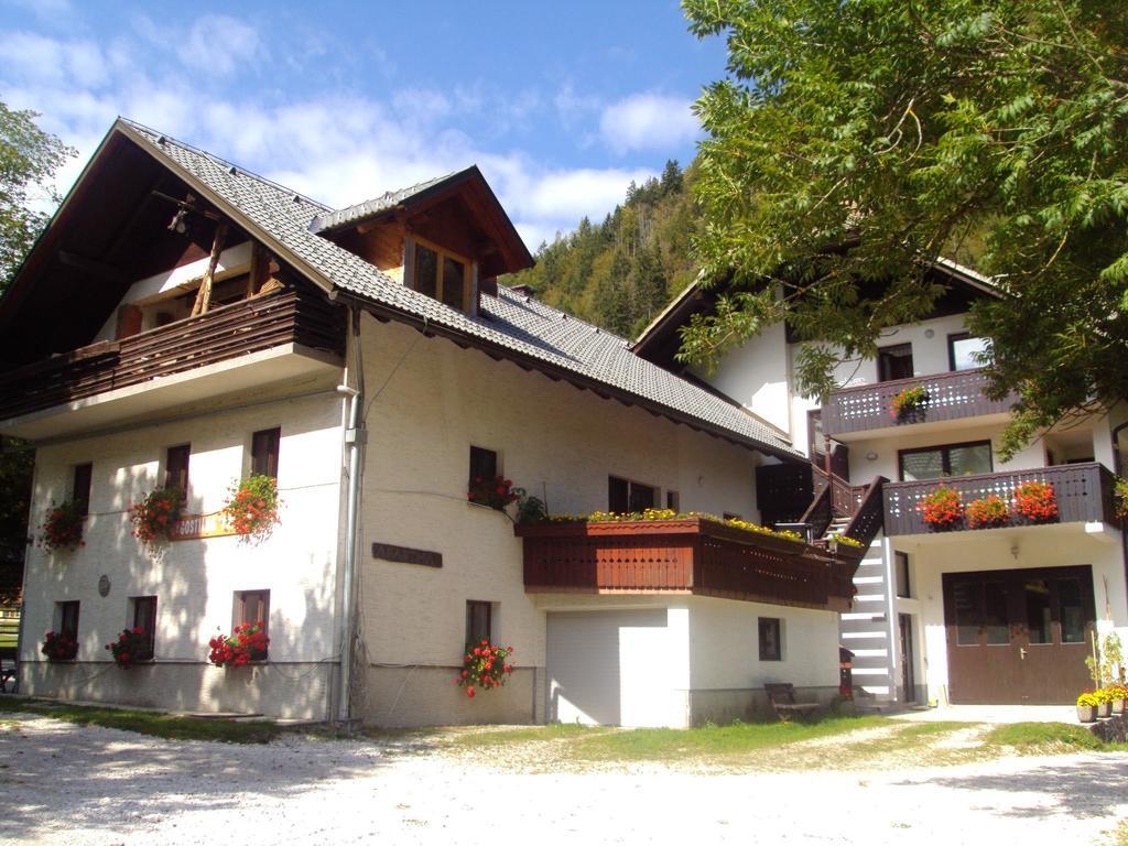 Ferienwohnung Turisticna Kmetija Psnak Mojstrana Exterior foto