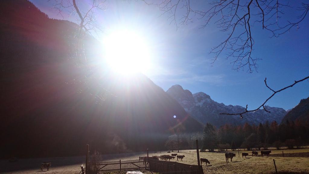 Ferienwohnung Turisticna Kmetija Psnak Mojstrana Exterior foto