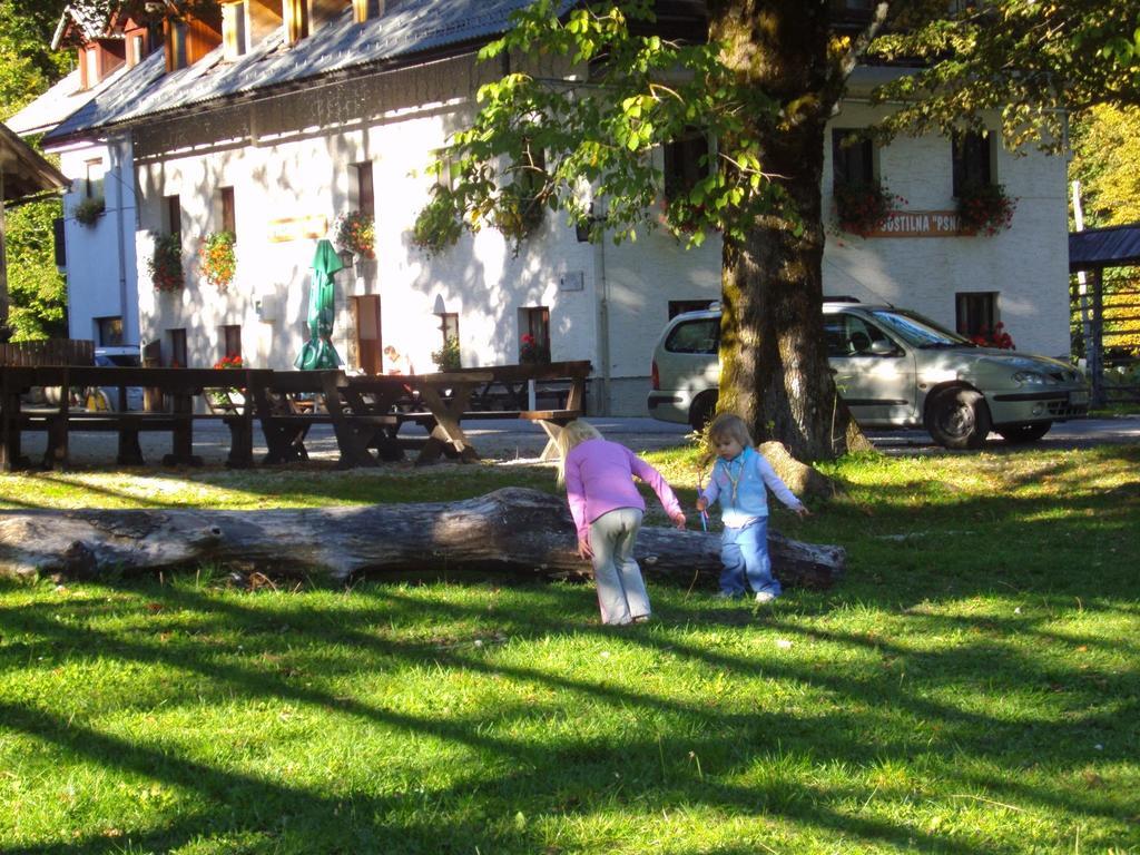 Ferienwohnung Turisticna Kmetija Psnak Mojstrana Exterior foto