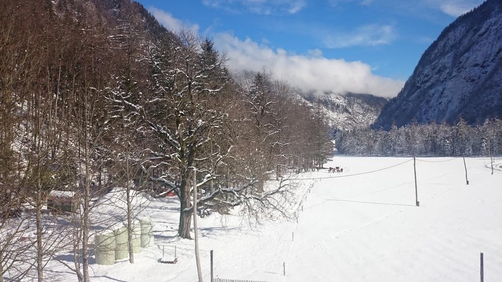 Ferienwohnung Turisticna Kmetija Psnak Mojstrana Exterior foto