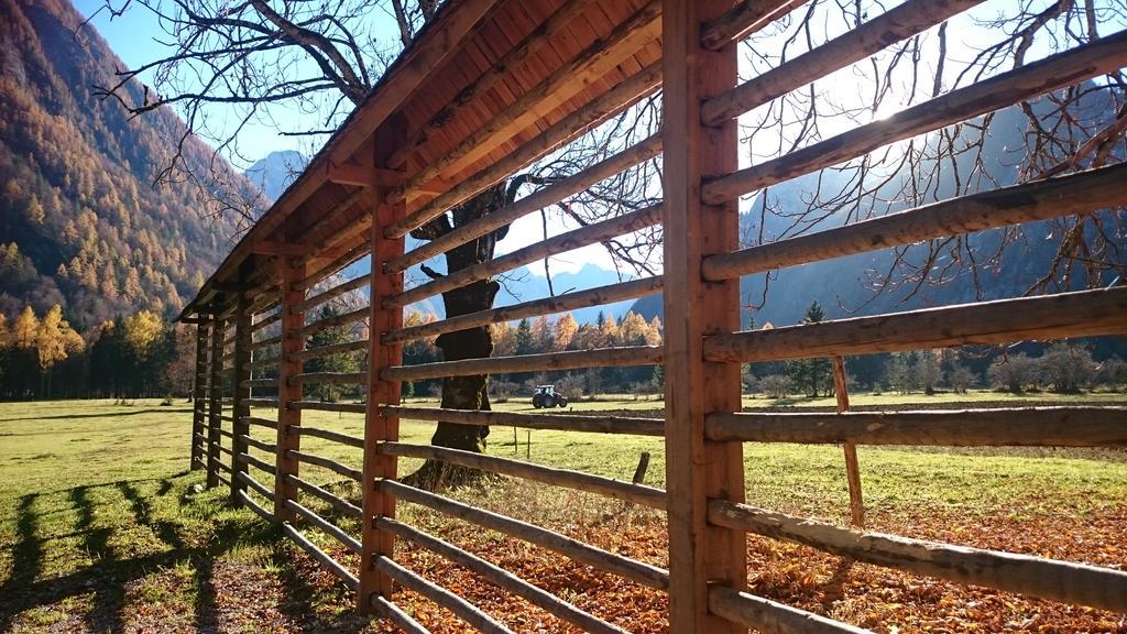Ferienwohnung Turisticna Kmetija Psnak Mojstrana Exterior foto