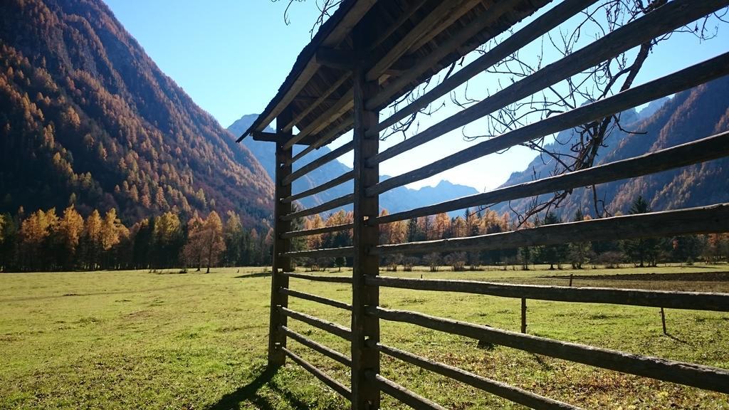 Ferienwohnung Turisticna Kmetija Psnak Mojstrana Exterior foto