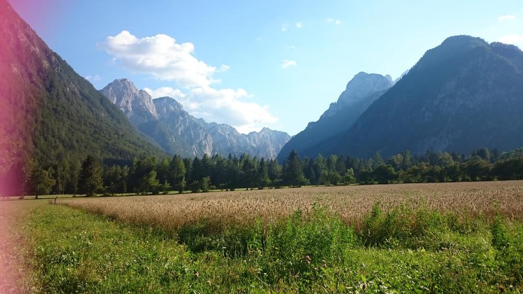 Ferienwohnung Turisticna Kmetija Psnak Mojstrana Exterior foto