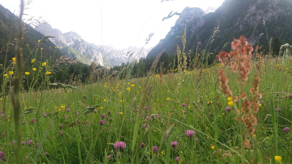 Ferienwohnung Turisticna Kmetija Psnak Mojstrana Exterior foto