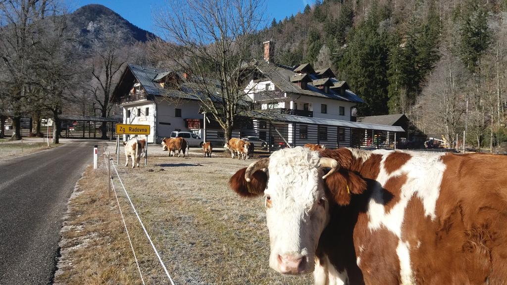 Ferienwohnung Turisticna Kmetija Psnak Mojstrana Exterior foto