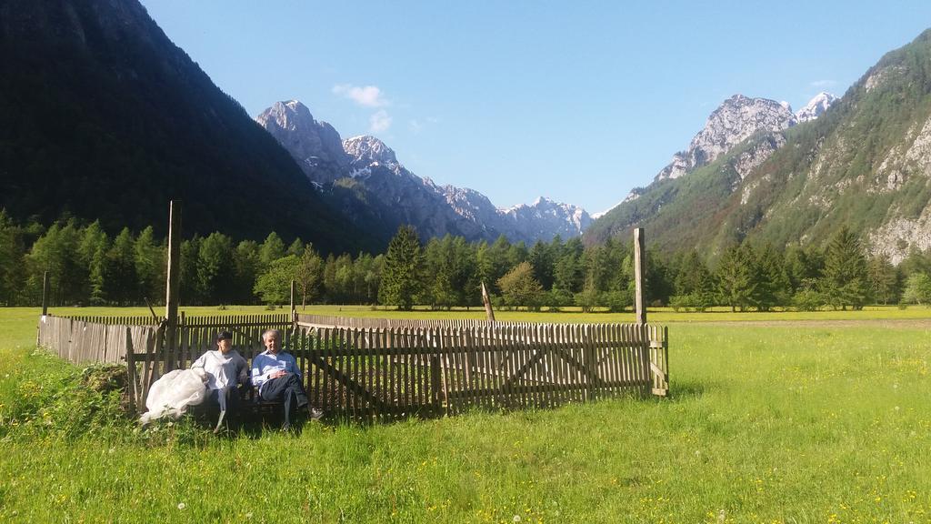 Ferienwohnung Turisticna Kmetija Psnak Mojstrana Exterior foto