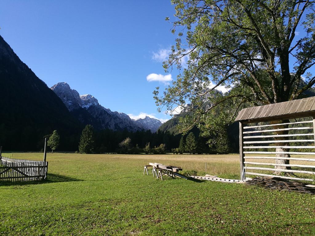 Ferienwohnung Turisticna Kmetija Psnak Mojstrana Exterior foto