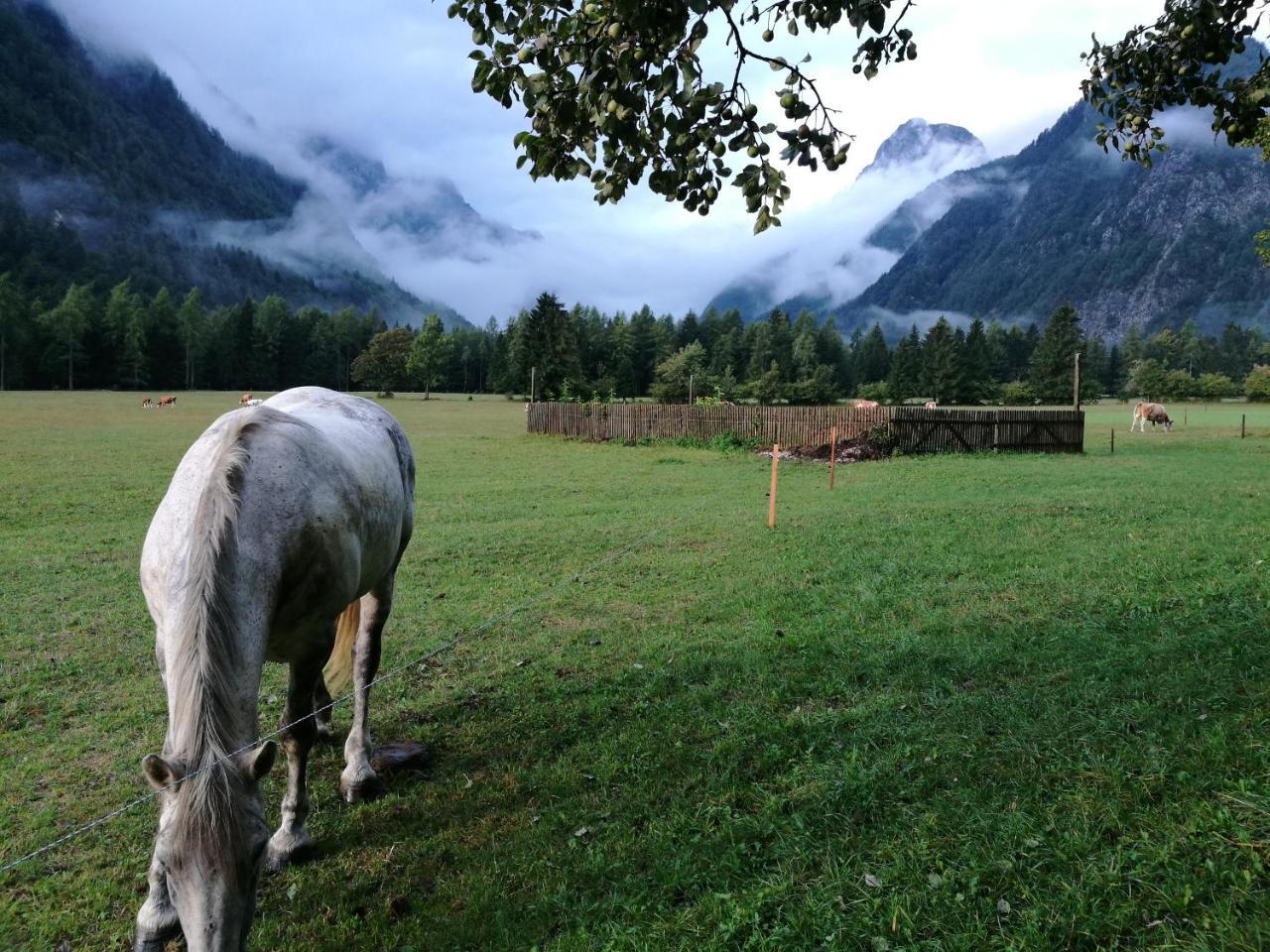 Ferienwohnung Turisticna Kmetija Psnak Mojstrana Exterior foto
