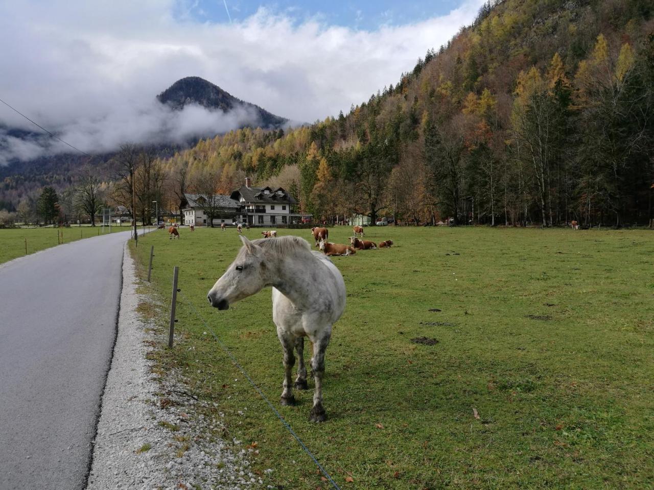 Ferienwohnung Turisticna Kmetija Psnak Mojstrana Exterior foto