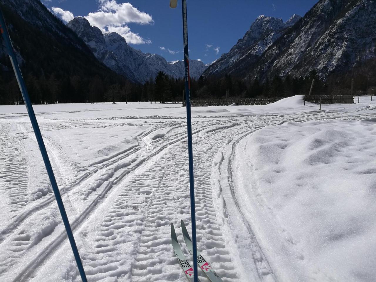Ferienwohnung Turisticna Kmetija Psnak Mojstrana Exterior foto