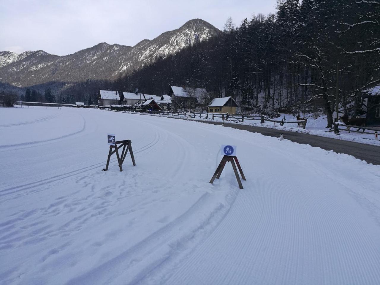 Ferienwohnung Turisticna Kmetija Psnak Mojstrana Exterior foto