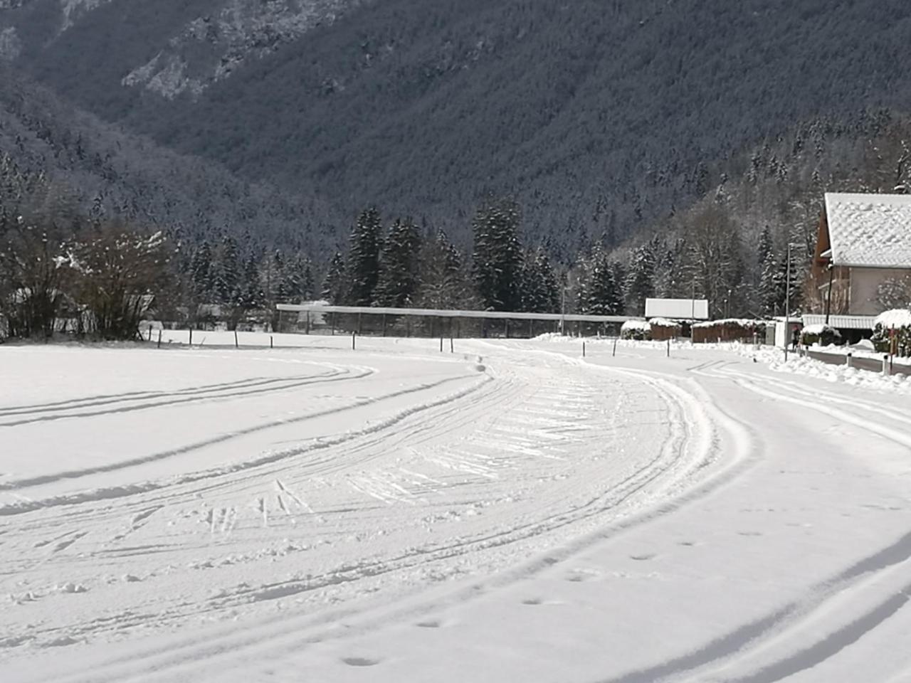 Ferienwohnung Turisticna Kmetija Psnak Mojstrana Exterior foto